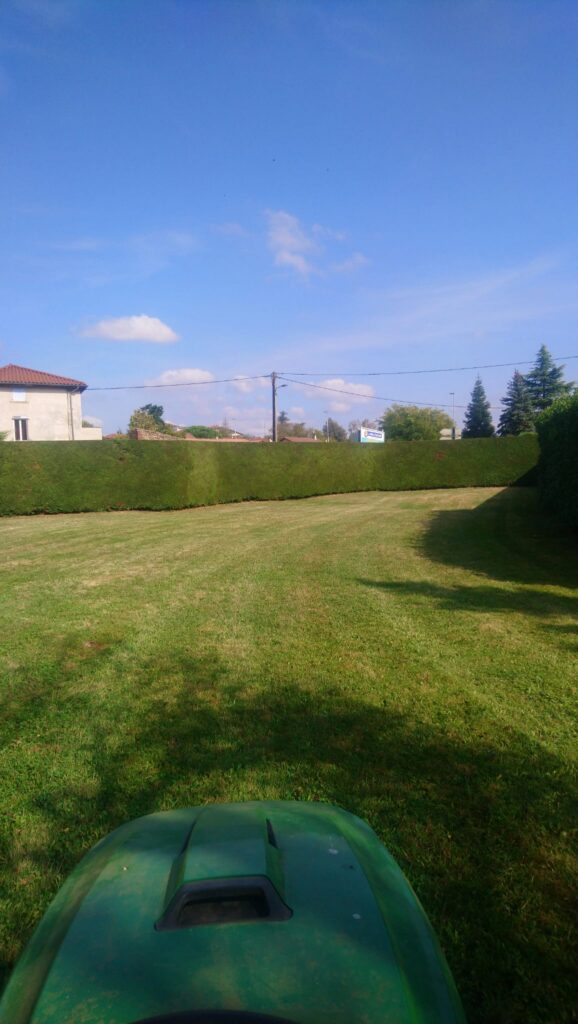 moderne paysage stephane vignatti (13)