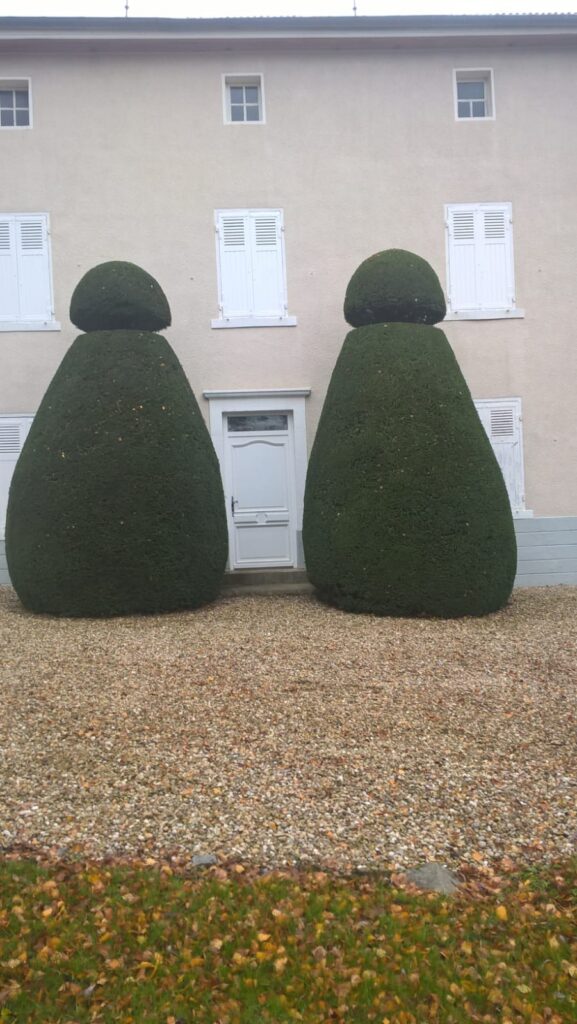 moderne paysage stephane vignatti (15)