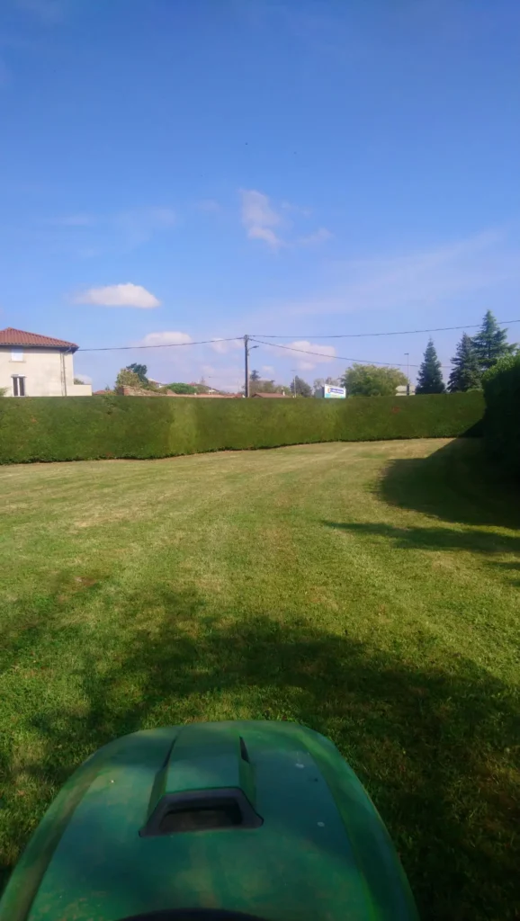 tonte moderne paysage vignatti stephane